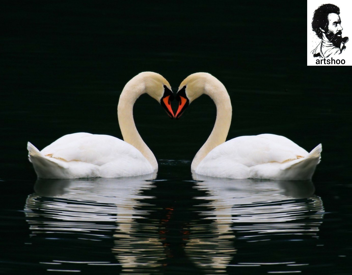 مدل رنگ روغن اورژینال